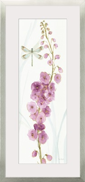 Rainbow Seeds Flowers VII Dragonfly