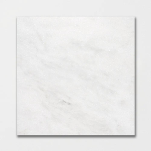 Calacata T Honed  Marble Tile 24x24