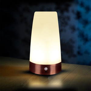 Auraglow Wireless PIR Motion Sensor Hallway Night Light-Round-Rechargeable