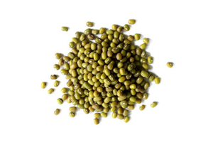 Mung Bean Sprouting Seed Organic