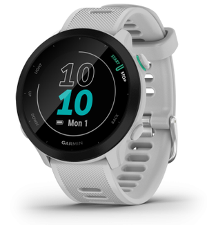 Garmin Forerunner 55 49GAR0100256211, Running GPS Watch, Whitestone