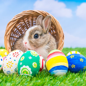 Easter Bunny Fragrance Oil