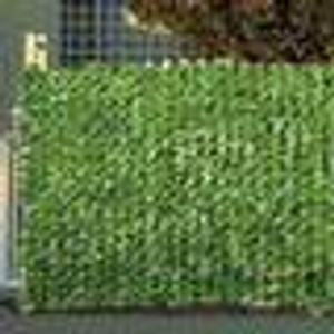 Privacy Fence - Light Green