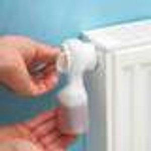 Radiator Bleeder (Pack of 2)