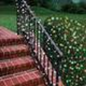 Solar LED Fairy Lights 100 - Multi-colour