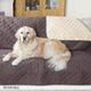 Armchair Brown/Beige Reversible Furniture Pro