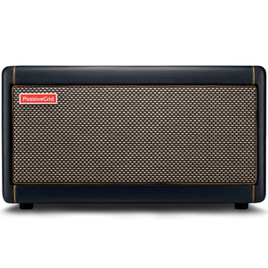 Positive Grid Spark 40 Watt Smart Guitar Amp and Bluetooth Speaker (Black)
