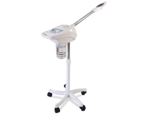 Esthetix facial steamer
