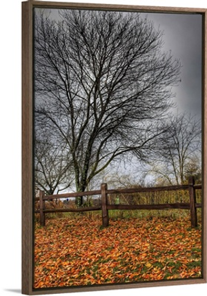 November on the Hill at the Inn at Cedar Falls