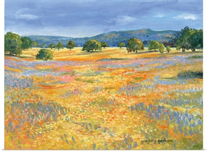 California Valley