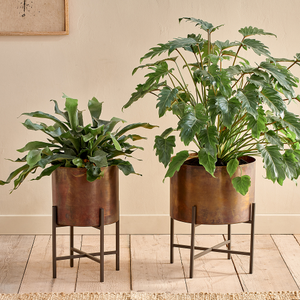 Juoni Iron Planter