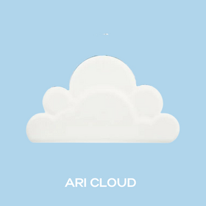 Ari Cloud Fragrance Oil
