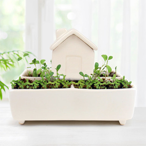 Self Watering Herb House Grow Kit