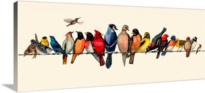 Bird Menagerie III