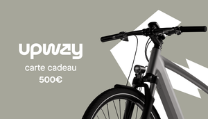 Carte cadeau 500€
