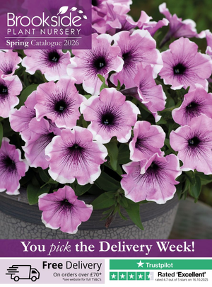 Brookside Nursery Spring Catalogue