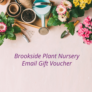 Brookside Nursery Email Gift Voucher