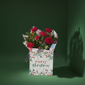 The Christmas Rose Plant Gift Bag