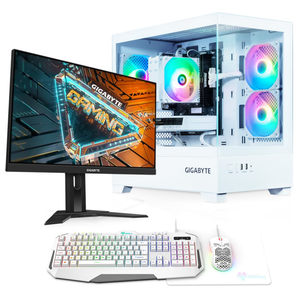 AWD-IT ICE AMD Ryzen 5 5500 6 Core, Nvidia RTX 5060 8GB, 24" 165Hz Monitor Package For Gaming
