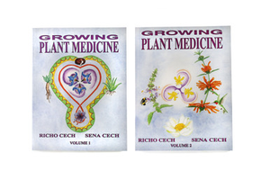 Growing Plant Medicine