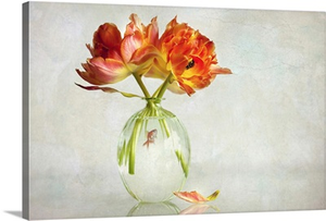 Goldfish Bowl