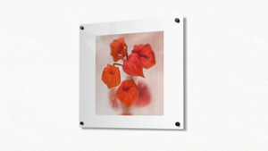 Metal Photo Prints