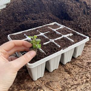 12 Cell Recyclable Grey Plastic Plant Tray | Pack of 10