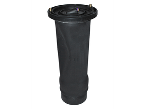 Dunlop Rear Air Spring  - including 2x NTC9449 clips