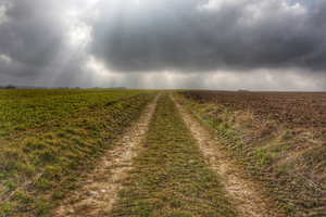 Walking the Somme Battlefields