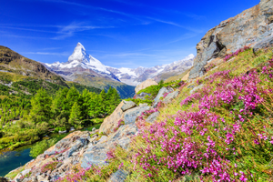 Lake Geneva, Zermatt and Montreux Drinks-Inclusive