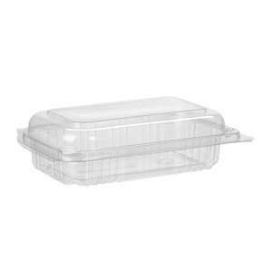 Benxon Large Salad Container PET Hinged Lid 250pcs