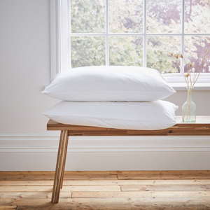 Luxurious Sleep Pillow Pair