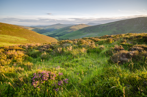 Ireland's South East – Waterford, Kilkenny and Wicklow