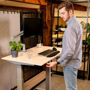 JOSHO Homeworker Electric Sit-Stand Desk