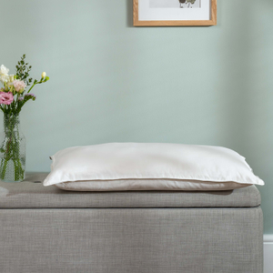 Silk Pillows