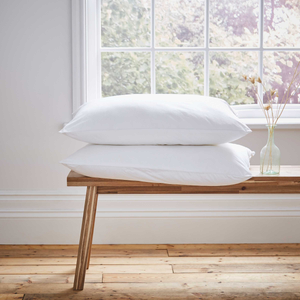Luxurious Sleep Standard Pillow Pair