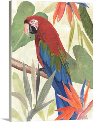 Tropical Parrot Composition III