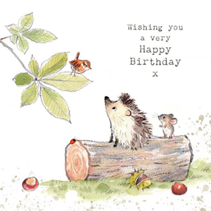 Moonpig Illustration Of A Hedgehog A Mouse And A Bird Birthday Card