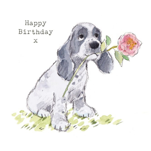 Moonpig Illustration Of A Cute Cocker Spaniel With A Rose Birthday Card
