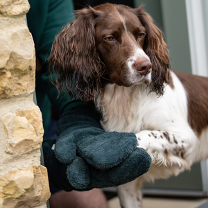Dog Drying Mitts - Forest