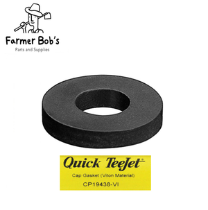 Viton Gasket / Seat for Nylon Quick TeeJet Caps 