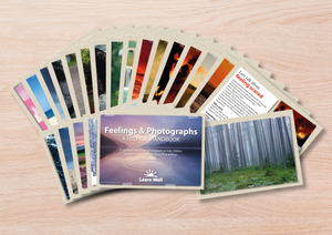 Learn Well Feelings & Photographs Laminated Card Set