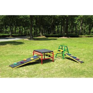 Wisdom Walkboard Play Gym 5 Piece Set
