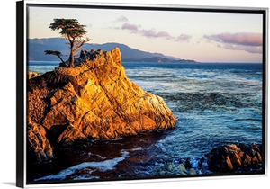 California, Big Sur Coast, Pebble Beach, Lone Cypress Tree And Rugged Rock