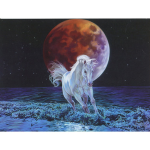 Eclipse Greeting Card (Birthday)
