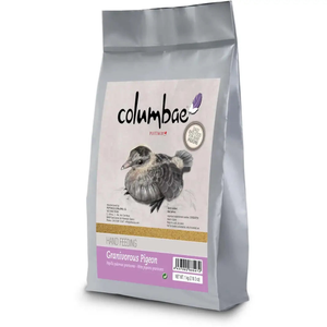 Columbae Pigeon Granivorous Hand Feeding