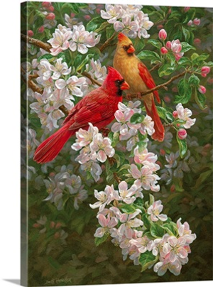 Spring Romance - Cardinals