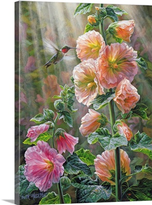 After The Rain - Ruby Throated Hummingbird And Hollyhocks