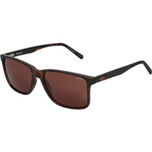 Barbour Mens Sunglasses Tortoise