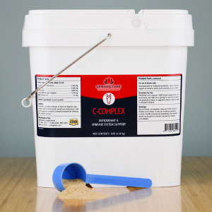 C-Complex for Horses